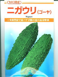 S[̎@JlR琬@jKEiS[j@JlR̈琬S[̕iłB̂ƂȂ炨CO[f|
