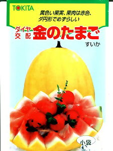 XCJ̎@_CzEEÊ܂EEEgL^c̏ʃXCJłB̂ƂȂO[f|