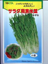 ミズナ　トキタ種苗・・・サラダ用京水菜・・・＜トキタのミズナ種子です。種のことならグリーンデポ＞