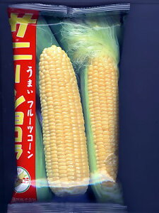 gERVq@Tj[VR@݂ǋãgERViłB