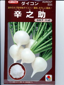 大根種子　タキイ交配・・辛之助・・・＜タキイの辛味大根です。種ことならグリーンデポ＞