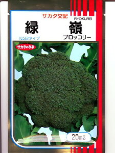 ubR[q@TJ^zEEEΗEEETJ^̃ubR[qłB̂ƂȂO[f|