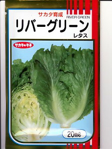 ^X@TJ^琬EEo[O[EETJ^̃^XqłB̂ƂȂO[f|