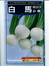 カブ　武蔵野種苗園　三芳交配　白馬小蕪　武蔵野のサラダカブの種です。