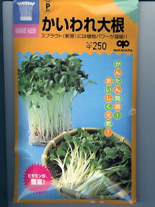XvEg@卪@@@̎̃XvEgpqłB