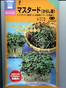 XvEg@}X^[hi炵؁jXvEgp̃}X^[hqłB