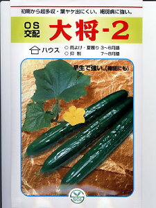 LE@OSz@叫[2@ʌ琬̃LEiłB