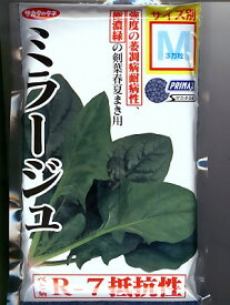 ほうれん草種　サカタ交配　ミラージュ　サカタのタネのほうれん草品種です。