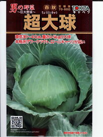 キャベツ種子　超大球　　　トキタ種苗のキャベツ種子です