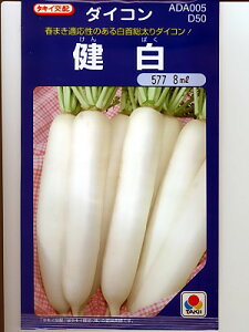 卪@^LCz@卪@@@^LCc̑卪qłB