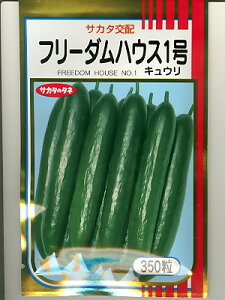 TJ^z@t[_nEX1@TJ^̃^l̃LEiłB