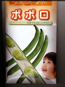 \}@||@t@[ׁ@_̂瓤łB