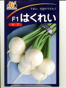 カブ　はくれいカブ　みかど協和のカブ種です。