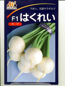 Ju@͂ꂢJu@݂ǋãJułB