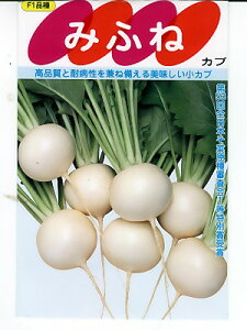 TJ^z@݂ӂ˃Ju@TJ^̃^l̏JuiłB