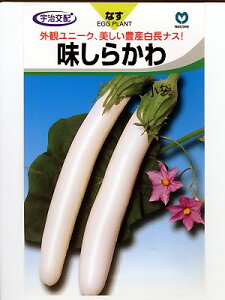 iX@Fz@炩 @ێ̒iXqłB̒ʔ̂ȂO[f|