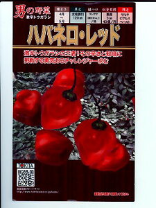 nolEbh@@gL^c̃gEKVłB̒ʔ̂ȂO[f|