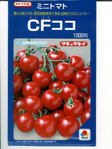 ^LCz@CFRR@@^LCc̃~jg}giłB̒ʔ̂ȂO[f|