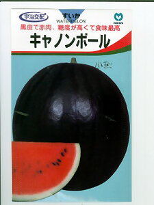 Fz@Lm{[XCJ(200)@ێ̑ʃXCJiłB̒ʔ̂ȂO[f|