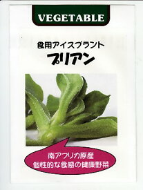 食用アイスプラント　プリアン　　＜藤田種苗のアイスプラント種子です。種のことならお任せグリーンデポ＞