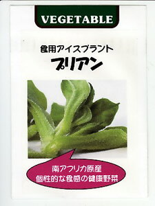 種 アイスプラント 苗の人気商品 通販 価格比較 価格 Com