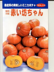 ミニカボチャ種子　赤い坊ちゃん　登録品種　みかど協和のミニカボチャ種子です。種のことならグリーンデポ