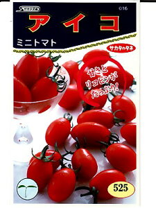 ~jg}g@TJ^z@ACR@@TJ^̃^l̃~jg}giłB̂ƂȂO[f|