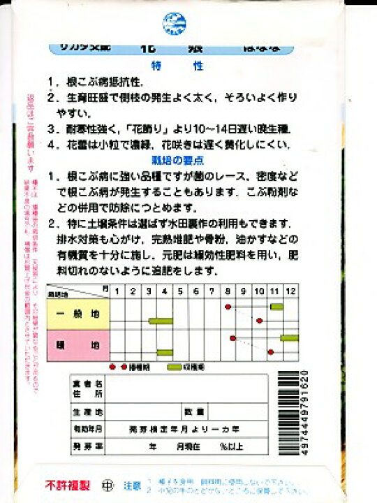 楽天市場 食用ナバナ種 花娘 サカタのタネの食用花菜の種です ｇｒｅｅｎ ｄｅｐｏｔ