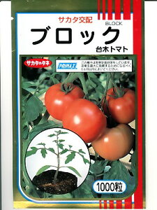 ubN@g}g؁@TJ^z̑؃g}g̎łB