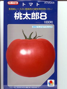g}g@^LCz@Y8@@^LCc̃g}głB̒ʔ̂̓O[f|
