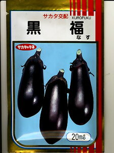 iX@TJ^z@iX@TJ^̃iXiłB̒ʔ̂ȂO[f|