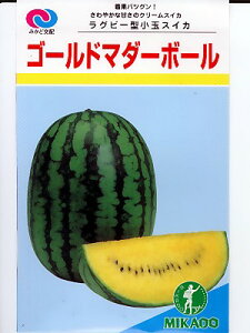 ʃXCJ@S[h}_[{[@@@݂ǋȁʃXCJ̕iłB