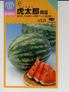 XCJ̎@ՑYZ@@̎̃XCJiłB̒ʔ̂ȂO[f|
