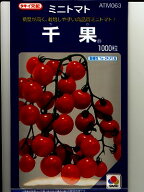 タキイ交配　千果　　　　タキイのミニトマト種子、1000粒規格です。