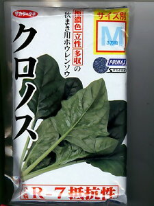 TJ^z@NmXق񑐁@@@@TJ^̃^l̂ق񑐎qłB