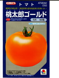 トマト種　タキイ交配　桃太郎ゴールド　登録品種　タキイの桃太郎シリーズの大玉トマト品種です。