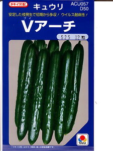 種 アーチ 農業資材 ガーデニング用品の人気商品 通販 価格比較 価格 Com