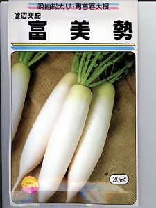 nӌz@x卪@@nӔ_̏t卪ił