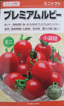 カネコ交配 プレミアムルビー 完売 正規取扱店 カネコ種苗のミニトマト品種です