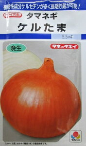 タキイ交配 ケルたま タキイ種苗の玉ねぎ品種です。