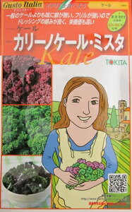 P[@@J[mP[E~X^@gL^c̃QXgC^AV[ỸP[łB