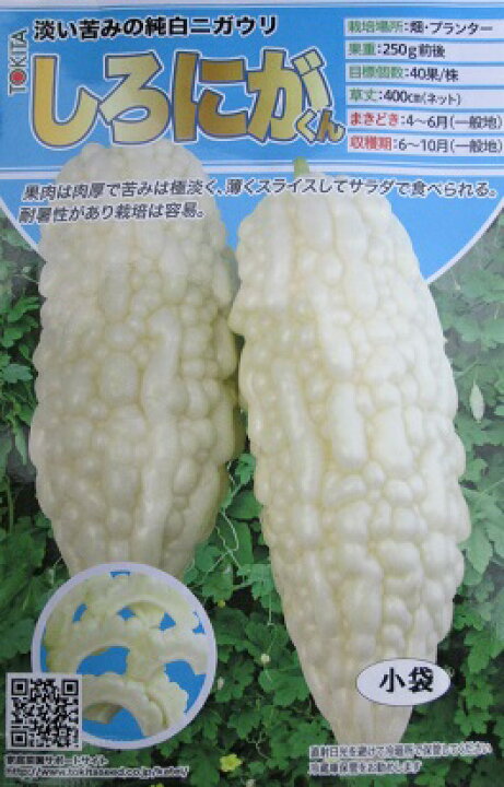 楽天市場 ゴーヤ種 しろにがくん トキタ種苗の白にがうり 白ゴーヤ の品種です ｇｒｅｅｎ ｄｅｐｏｔ