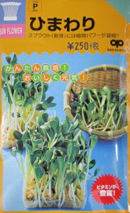 XvEg@Ђ܂@XvEgp̂Ђ܂qłB