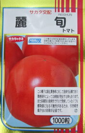 サカタ交配　麗旬トマト　　　　サカタのタネの黄化葉巻病耐病性の大玉トマト品種