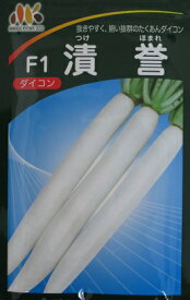 楽天市場 たくあん 用 大根 品種の通販
