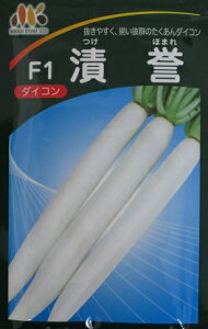 З_@݂ǋâ卪i