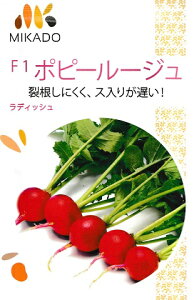 F1@|s[[W@fBbV@B݂ǂ̓\卪i