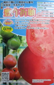 �_�C����z�@�L��F��g�}�g�@�g�L�^��c�̑�ʃg�}�g�i��ł��B