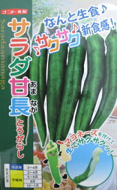ナント交配　サラダ甘長とうがらし　　　ナント種苗のトウガラシ品種。　トウガラシの種はグリーンデポ
