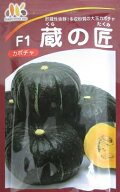 南瓜種　F1　蔵の匠　　みかど協和のカボチャ品種です。南瓜の種子はグリーンデポ
